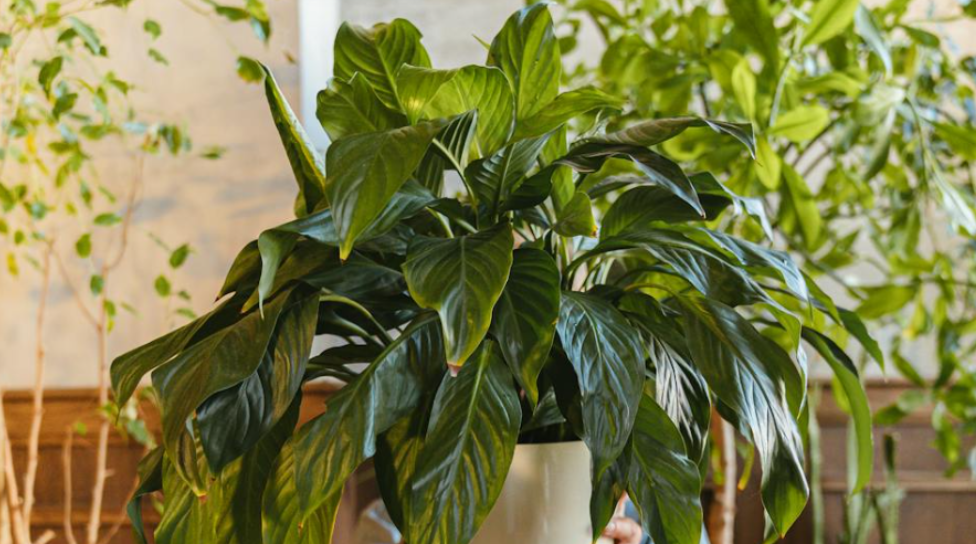 Everyday Eco: Home Habits That Actually Make a&nbsp;Difference